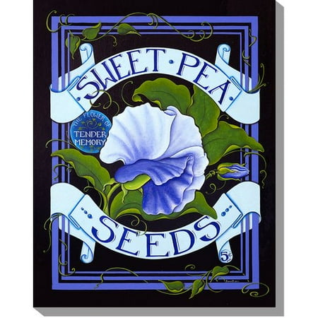 outdoor canvas art. west of the wind outdoor canvas art sweet pea seed pack framed graphic on wrapped